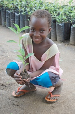 burkina faso, village of nagré, abf, bu074, mano bebé holding a baobab seedling resized