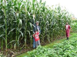 awesome_corn_bean